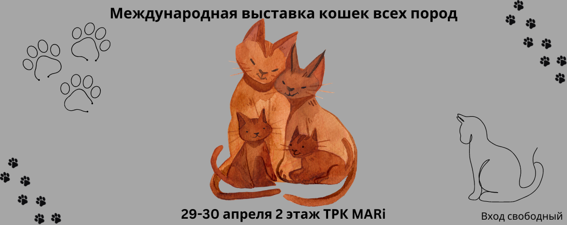 Международная выставка кошек всех пород 29-30 апреля