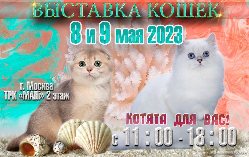 Международная выставка кошек всех пород 8-9 мая