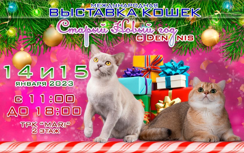 Международная выставка кошек в ТРК MARi 14-15 января