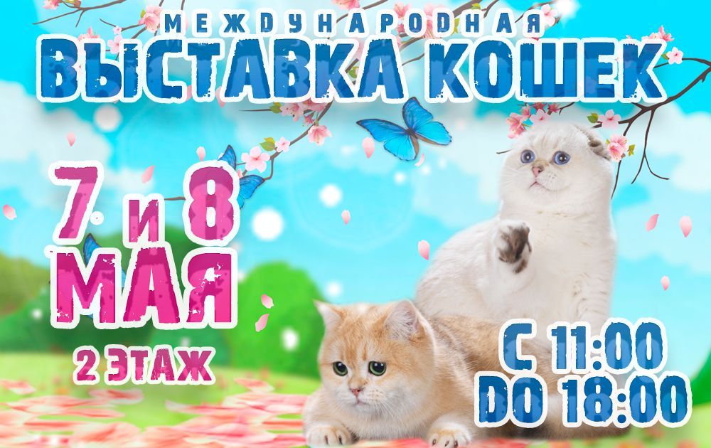 Международная выставка кошек в ТРК MARi 7-8 мая