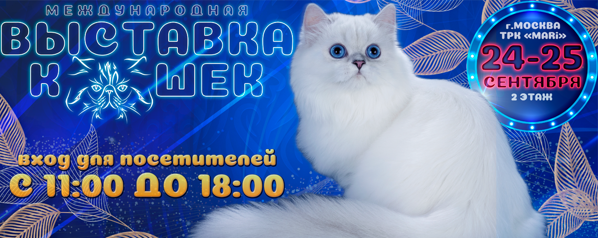 Международная выставка кошек 24-25 сентября
