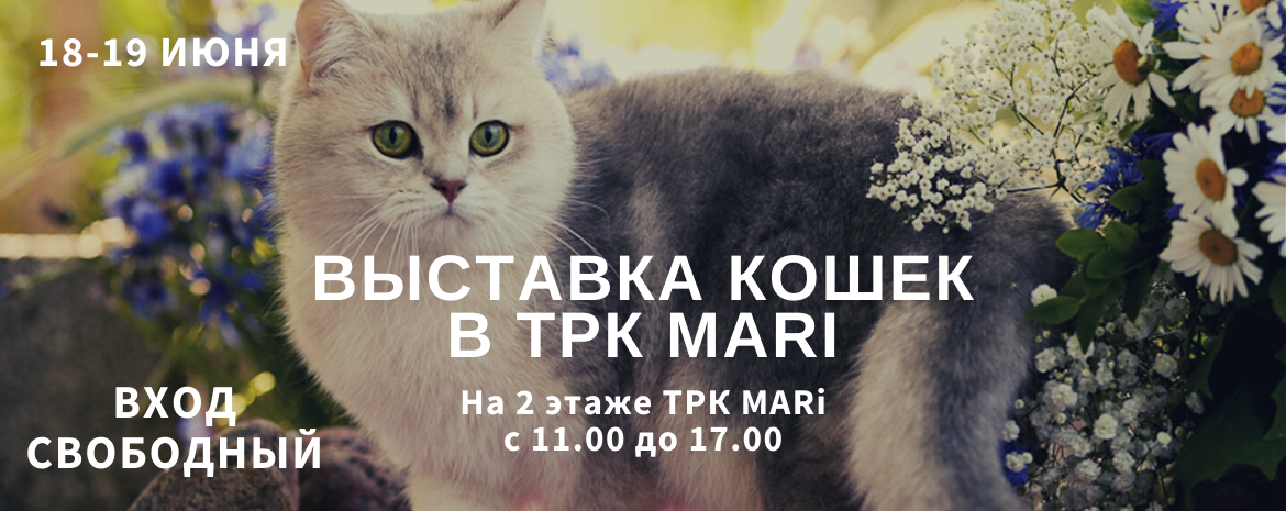 Выставка кошек в ТРК Mari 18-19 июня