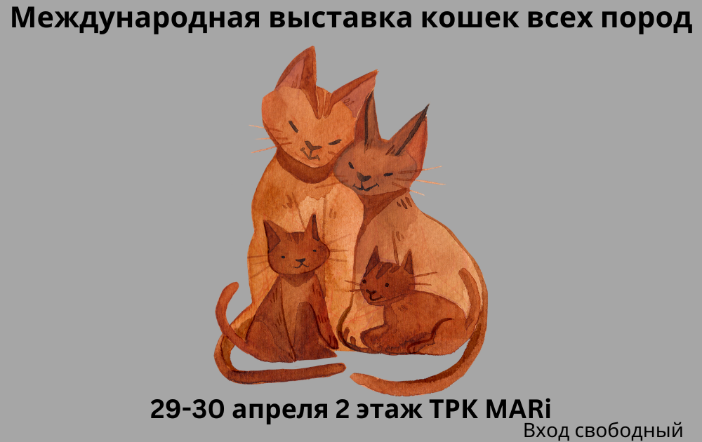 Международная выставка кошек всех пород 29-30 апреля