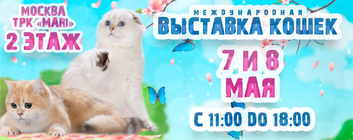 Международная выставка кошек в ТРК MARi 7-8 мая