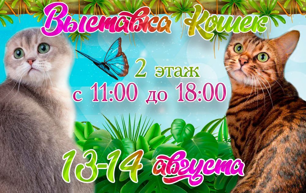 Выставка кошек в ТРК Mari 13-14 августа